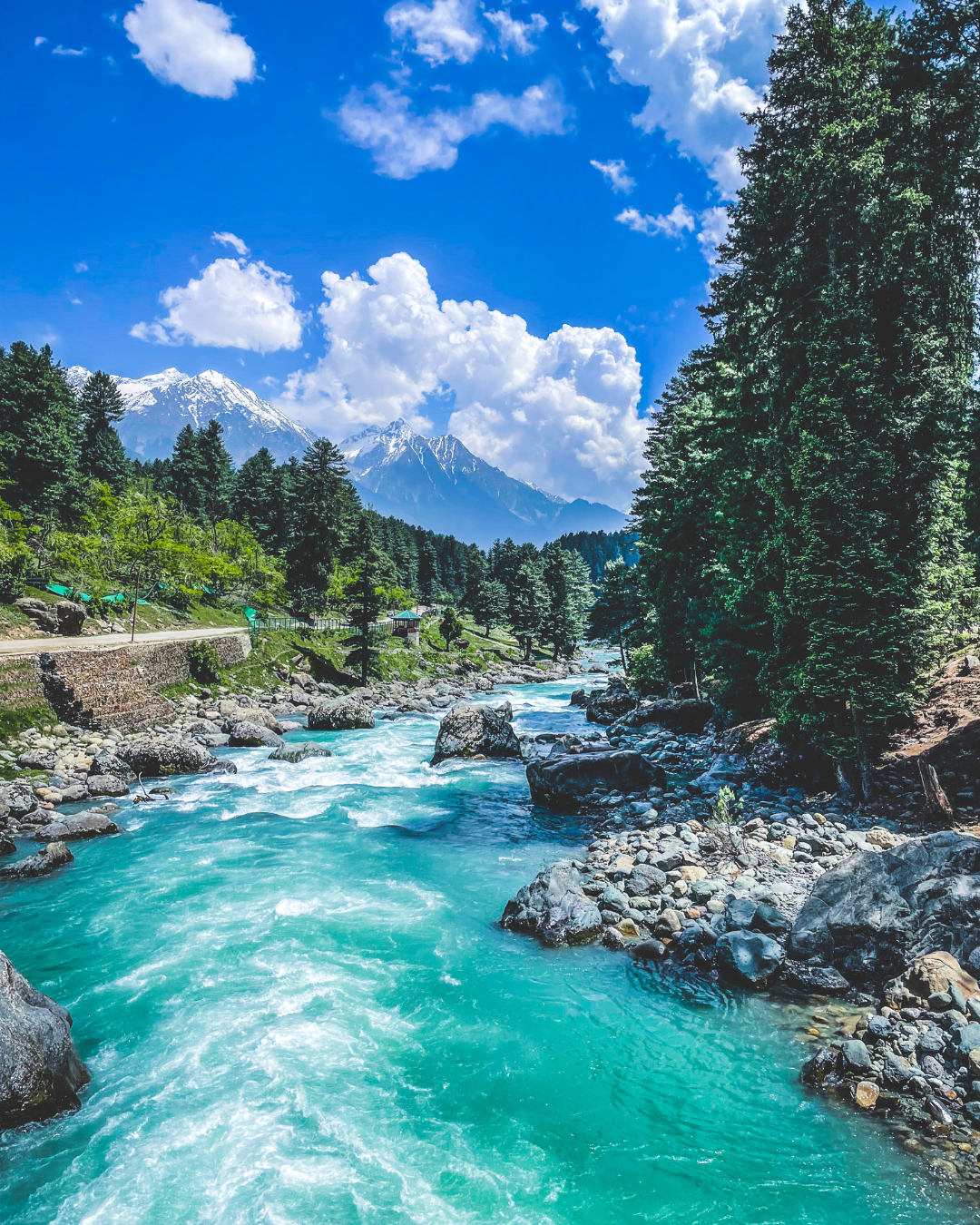 BEST OF KASHMIR - 05 NIGHTS 06 DAYS