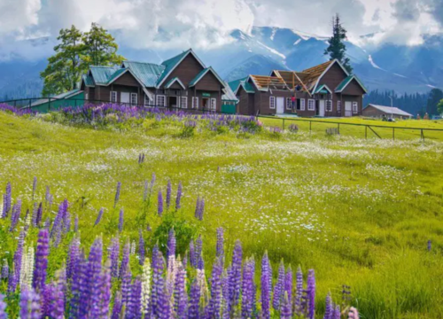 BEST SELLING KASHMIR TOUR -  05 NIGHTS – 06 DAYS