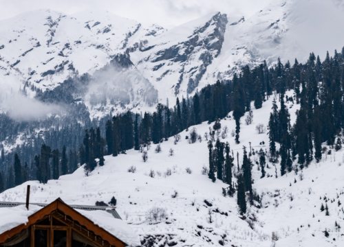 VALE OF KASHMIR - 04 NIGHTS 05 DAYS