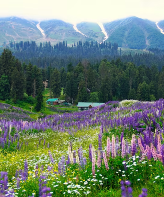 Best Time to Visit Kashmir – Complete Seasonal Breakdown